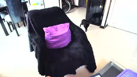 irina online show from 02-15-25, 04:45