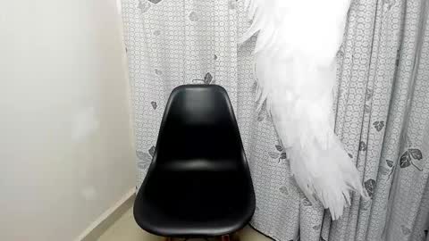 Snapshot of irisblooms chatting on 03-16-26, 06:12 iris blomm online show from 03-16-26, 06:12