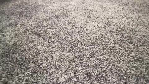 Snapshot of ironerectionn chatting on 01-11-26, 01:32 ironerectionn online show from 01-11-26, 01:32