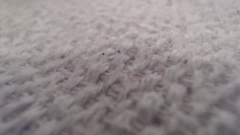 Snapshot of ironman383838 chatting on 10-20-25, 09:59 ironman383838 online show from 10-20-25, 09:59