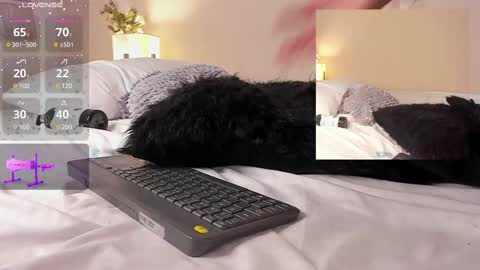 Snapshot of isa_jonness_ chatting on 02-19-25, 04:44 oIssaJonneso online show from 02-19-25, 04:44