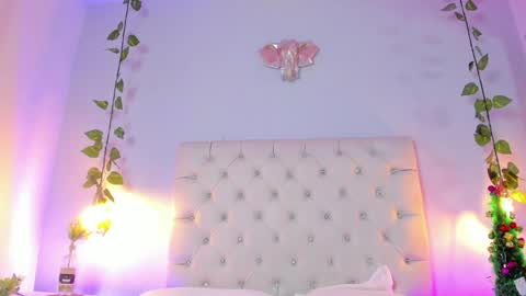   online show from 12-15-24, 08:47
