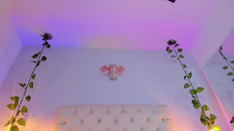   online show from 01-08-25, 03:19