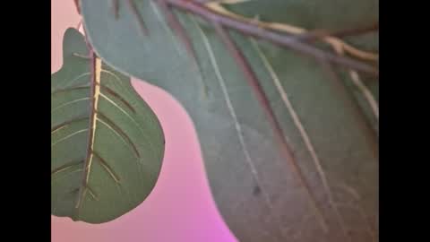 Isabella online show from 09-18-25, 04:58