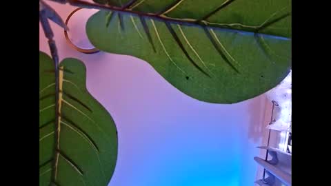 Isabella online show from 10-23-25, 05:51