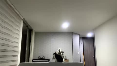 Snapshot of isabelprietoo chatting on 09-16-25, 02:56 Isa online show from 09-16-25, 02:56