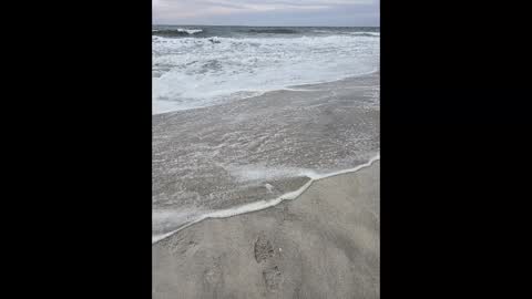 Snapshot of islandguy70 chatting on 03-02-25, 06:19 Jim online show from 03-02-25, 06:19