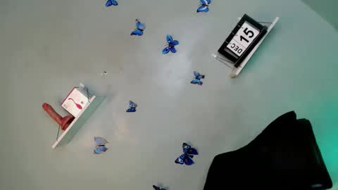 Bella online show from 12-15-25, 05:34