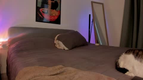 Isabella online show from 04-05-26, 01:52