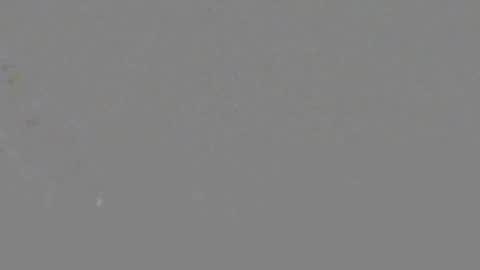 Snapshot of itsnyladior777 chatting on 06-06-26, 03:39 ItsNyladior online show from 06-06-26, 03:39