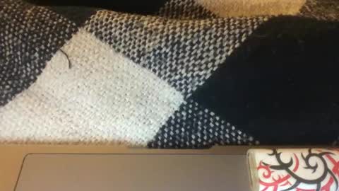 Snapshot of itsthick13 chatting on 09-13-25, 05:40 itsthick13 online show from 09-13-25, 05:40