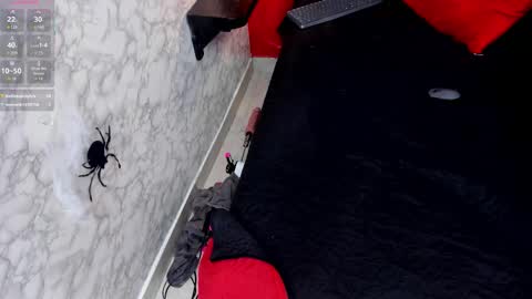 Ivis  online show from 10-25-25, 01:18