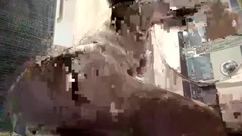 Snapshot of izcah_g chatting on 01-06-25, 10:13 Izcah online show from 01-06-25, 10:13
