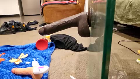 j220231 online show from 12-04-25, 12:25