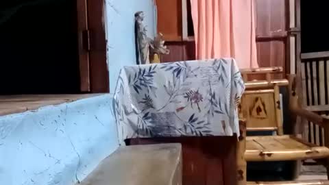 j828413 online show from 10-27-25, 11:25