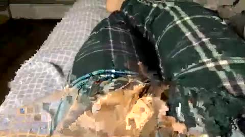 Jaaltar online show from 12-03-25, 02:41