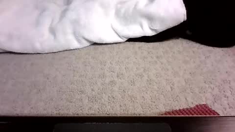 Snapshot of jack_wonder912 chatting on 09-13-25, 04:12 jack_wonder912 online show from 09-13-25, 04:12