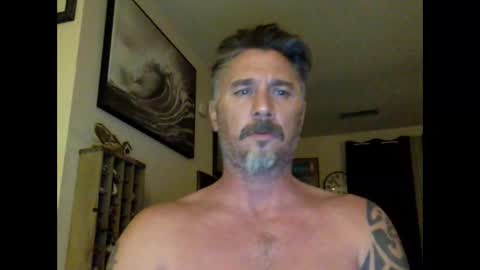 jackhammerhead online show from 12-03-24, 03:52