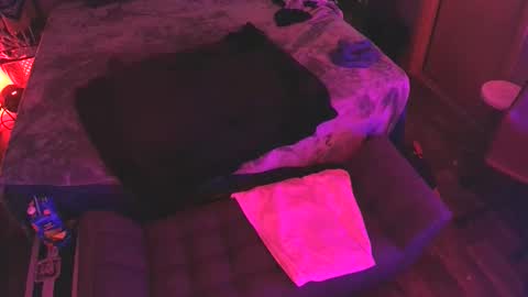 jackmeoff369 online show from 10-15-25, 12:49