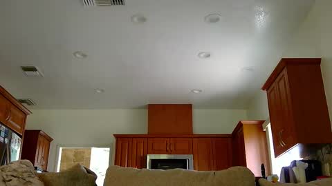 jacktome369 online show from 11-11-25, 07:58