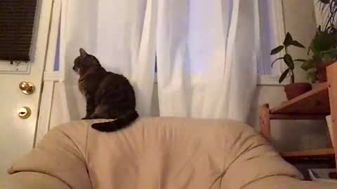 Snapshot of jacobmotes chatting on 10-19-25, 11:00 Jacob online show from 10-19-25, 11:00