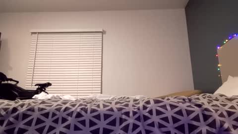 jaidenblake online show from 12-02-24, 09:45