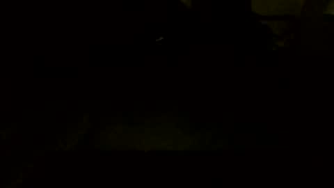 Snapshot of jamacianmehorny chatting on 10-07-25, 09:45 Jamacian online show from 10-07-25, 09:45