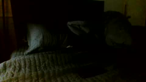 Snapshot of jamacianmehorny chatting on 11-07-25, 05:07 Jamacian online show from 11-07-25, 05:07