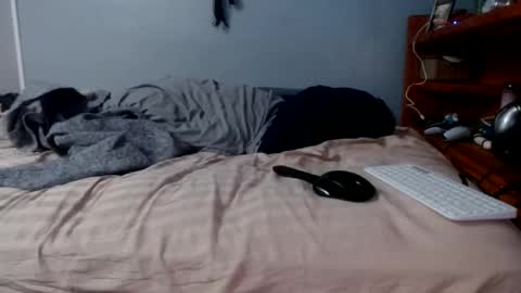 what you in too online show from 02-16-26, 01:29