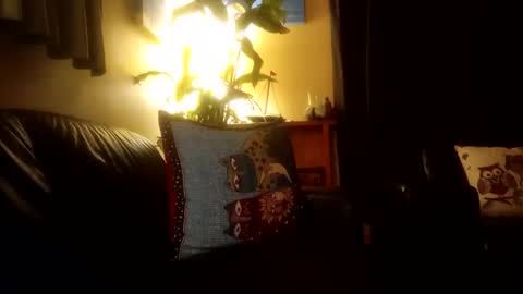 jamesloveridge901 online show from 10-25-25, 02:24