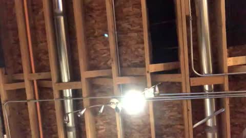 Snapshot of jamie19905 chatting on 10-29-25, 02:25 jamie19905 online show from 10-29-25, 02:25