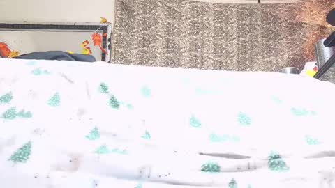 Bootyshows online show from 10-23-25, 04:17