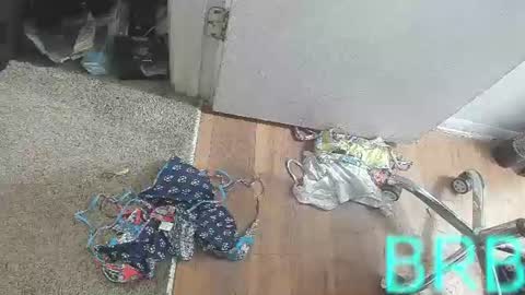 Bootyshows online show from 08-02-26, 03:54