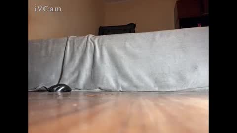 jarrettsss online show from 11-14-25, 07:56