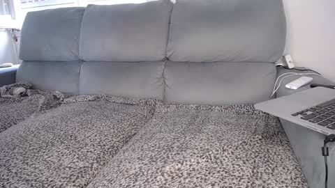 Javier  online show from 12-07-24, 04:47