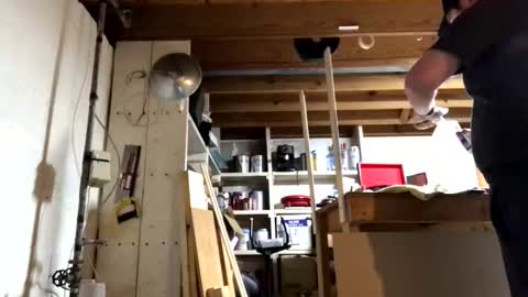 Jaws  online show from 03-17-26, 07:39