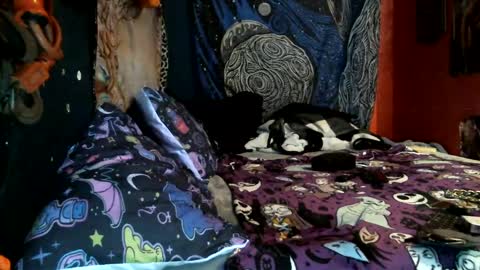 Snapshot of jax_skyfallin chatting on 02-12-25, 10:46 jaxxx666 online show from 02-12-25, 10:46