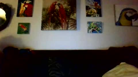 jay-jay1475 online show from 12-17-24, 12:56