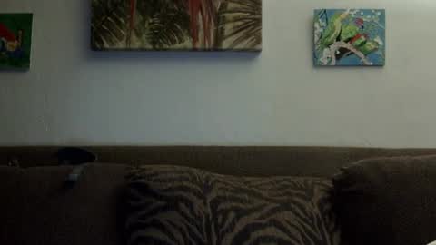 jay-jay1475 online show from 01-01-25, 02:19