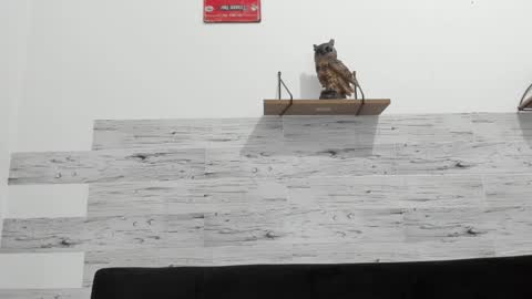 Jaycreedd online show from 01-03-25, 04:55