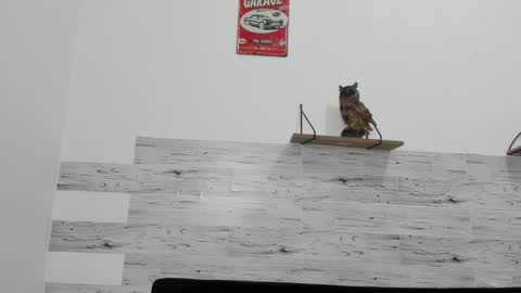 Jaycreedd online show from 03-06-25, 07:25