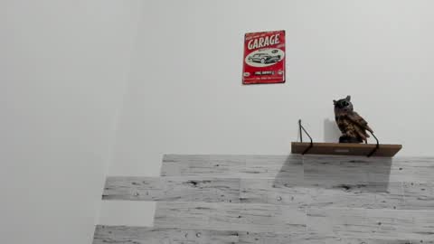 Jaycreedd online show from 03-09-25, 04:27