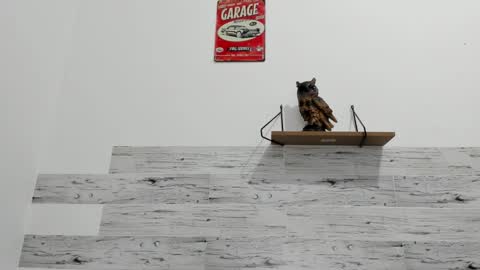 Jaycreedd online show from 09-11-25, 12:33