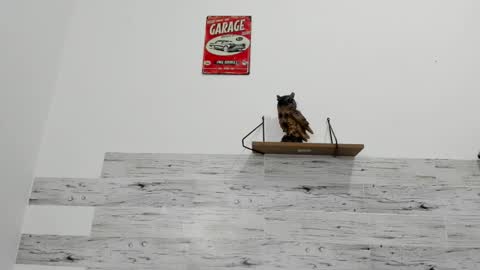 Jaycreedd online show from 10-01-25, 05:02