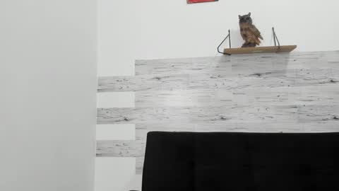 Jaycreedd online show from 10-06-25, 02:53