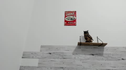 Jaycreedd online show from 11-21-25, 03:27