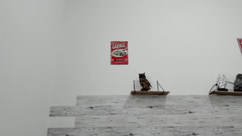 Jaycreedd online show from 11-30-25, 08:13