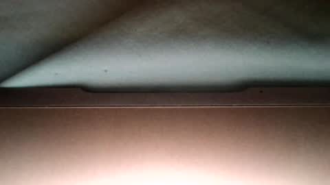 jaydee6312 online show from 02-11-26, 03:11