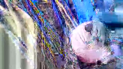 jcfoxx0920 online show from 10-03-25, 01:41