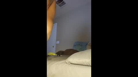 jdtripp15 online show from 01-13-26, 11:43